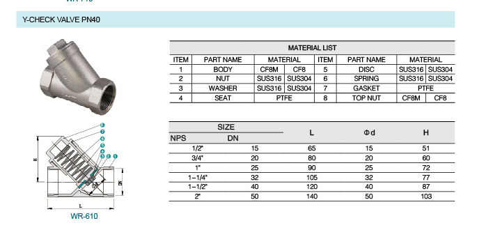 Y Check Valve