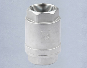 Vertiacl Check Valve