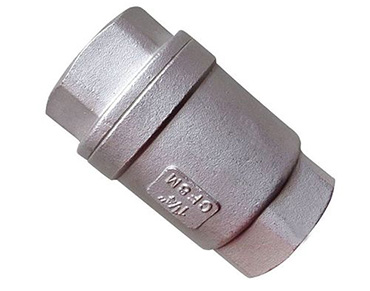 Vertiacl Check Valve