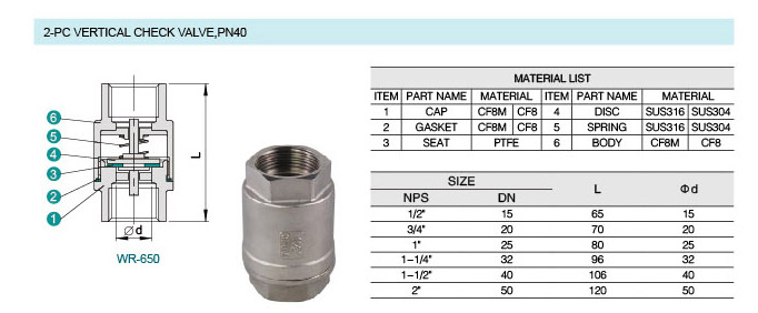 Vertiacl Check Valve