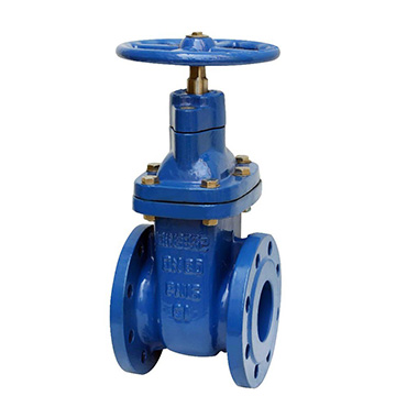 Din Non-Rising Gate Valve F5