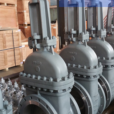 DIN Rising Gate Valve F5