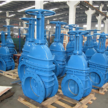 DIN Rising Gate Valve F5