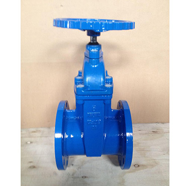 ANSI Resilient Gate Valve