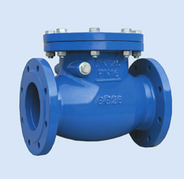 ANSI Check Valve