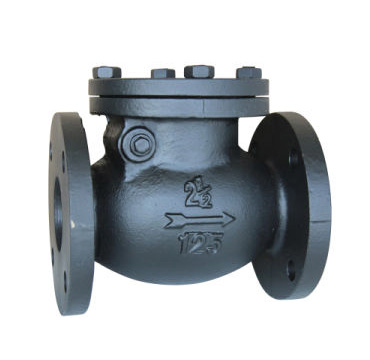 ANSI Check Valve