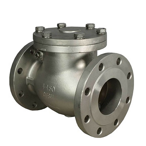 ANSI Check Valve