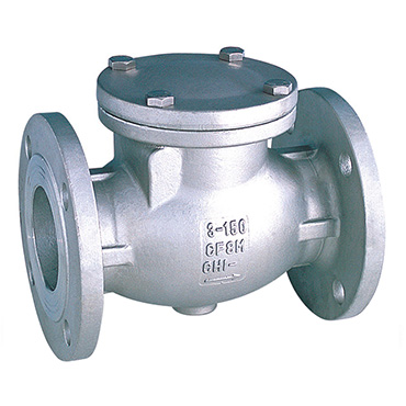 ANSI Stainless Steel Check Valve