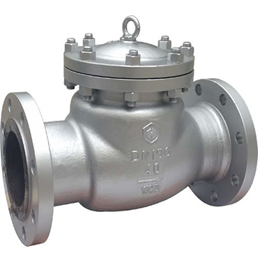 ANSI Stainless Steel Check Valve