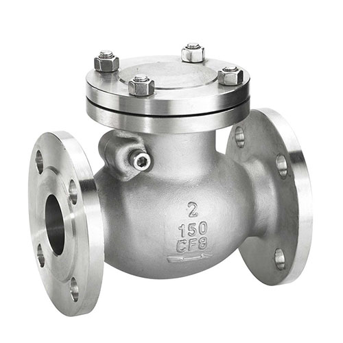 ANSI Stainless Steel Check Valve