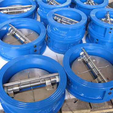 ANSI Wafer Check Valve