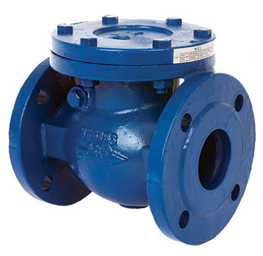 BS Check Valve