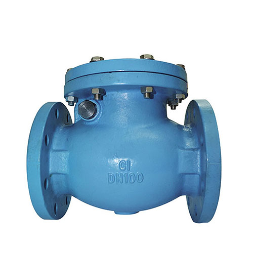 BS Check Valve