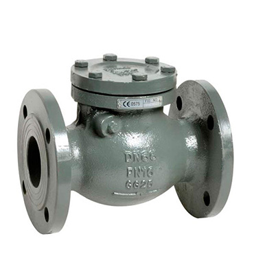 DIN Check Valve