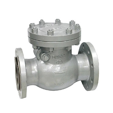 DIN Check Valve