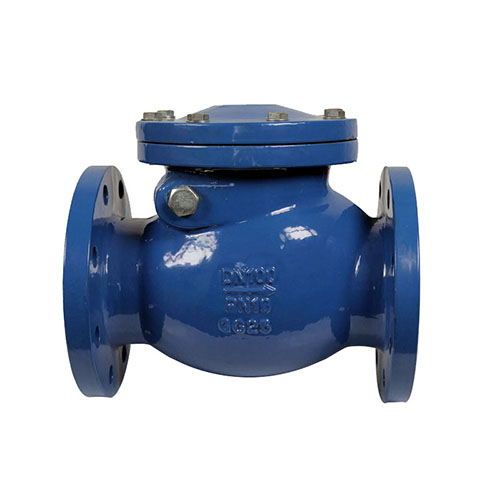 DIN Check Valve