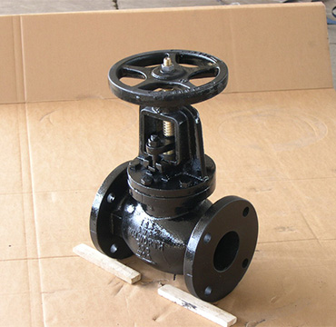 ANSI Globe Valve