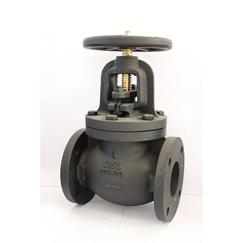 ANSI Globe Valve