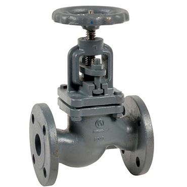 DIN Globe Valve