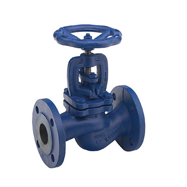 DIN Globe Valve